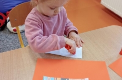 IMG20241021092812 